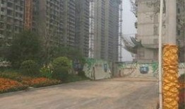 青岛蓝湾爆料最新消息今天,揭秘神秘项目进展与影响